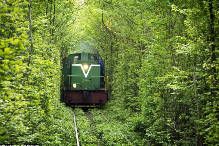 Secret-Train-Tunnel-of-Love-In-Ukraine-6