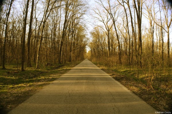 401945_10151910510743012_1910425060_n