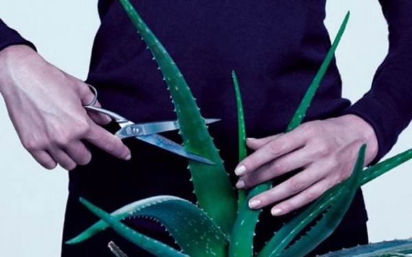 toilet-paper-Maurizio-Cattelan-Pierpaolo-Ferrari-10