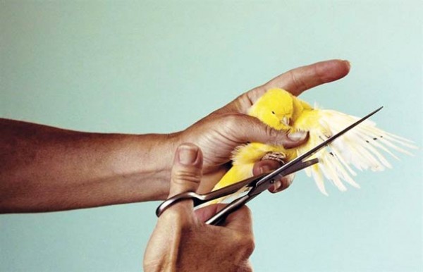 toilet-paper-Maurizio-Cattelan-Pierpaolo-Ferrari-24