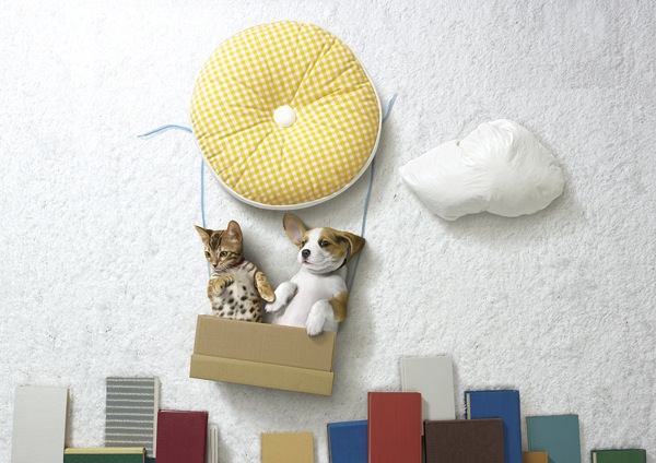 puppies-kittens-2