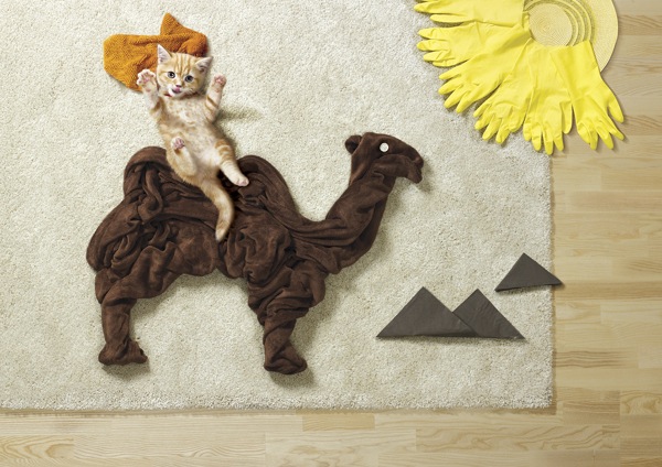 puppies-kittens-4