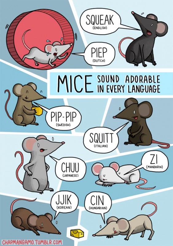 James-Chapman-animal-noises-10