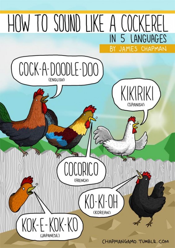 James-Chapman-animal-noises-4