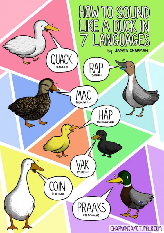 James-Chapman-animal-noises-7