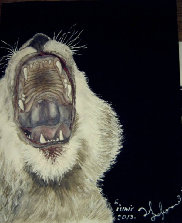 942750_470267619726474_1561134891_n