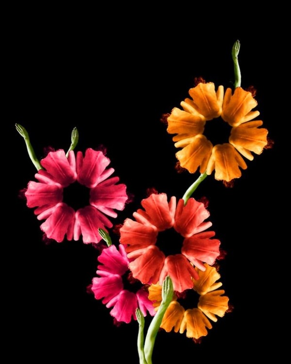 cecelia webber we art