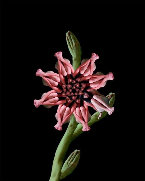 cecelia webber we art