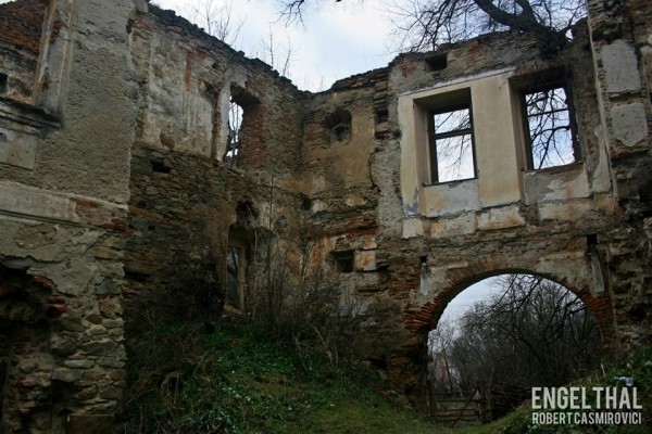 1504077_217905935062969_2012765095_n