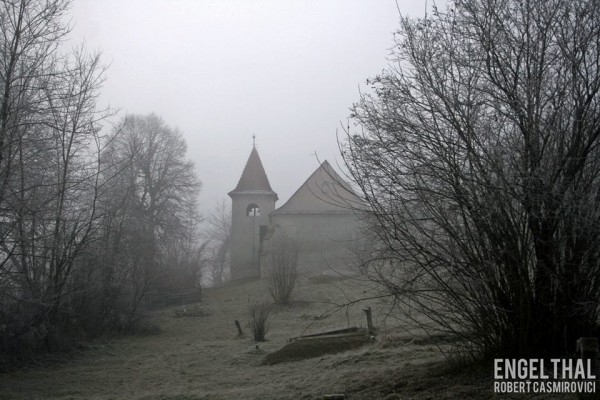 1507639_217905928396303_1811063984_n