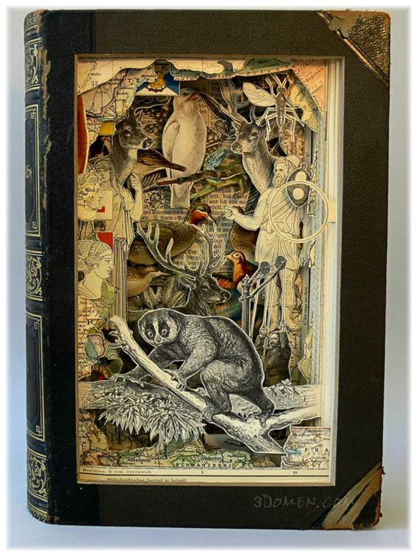 a_k_robinson_13_20121102_1870467150