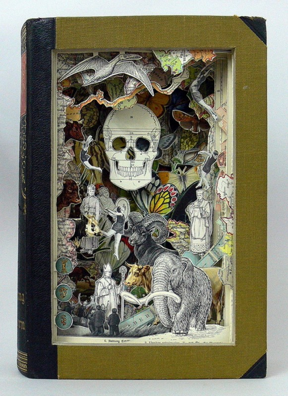 a_k_robinson_5_20121102_1595802929