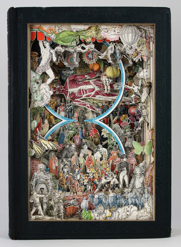 alexander_korzer-robinson_12_20121026_1385644491