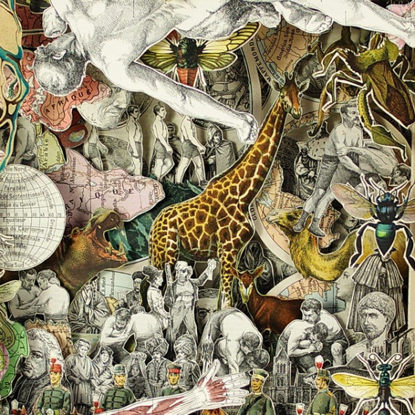 alexander_korzer-robinson_5_20121026_1052446538