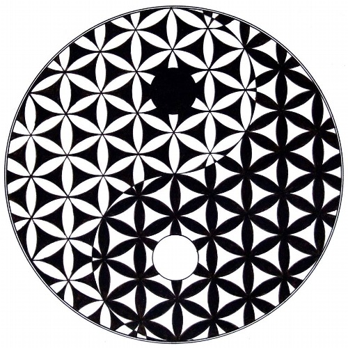 tumblr_n6y4taSDtF1td88plo1_500