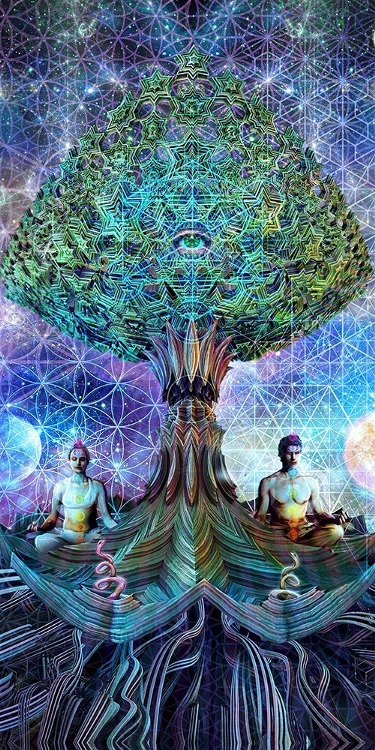 tumblr_n87w6cBmIS1tpuqvyo1_500